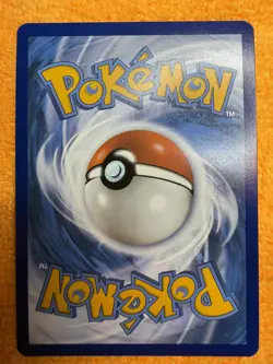 Pokemon Cards Bidoof GG29/GG70 Crown Zenith Galarian Gallery Holo NM - Image 2