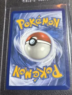 Roark 242/182 Pokemon TCG S&V Paradox Rift Ultra Rare Holo NM - Image 2