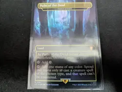 MTG Magic the Gathering FOIL Cavern of Souls / Paths of the Dead LTC! - Image 1