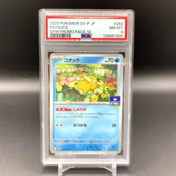 PSA8 Pokemon 2025 Cards SV-P Japan Psyduck Gym Promo Pack 10 262/SV-P - Image 1