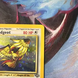 Pokemon Pidgeot TCG Holo Rare Card 8/64 Jungle Unlimited Vintage - Image 5