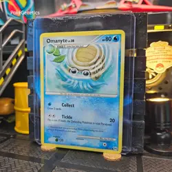 Omanyte Arceus Pokemon TCG 70/99 Platinum Common - Image 2