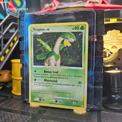 Tropius Mysterious Treasures Pokemon TCG 64/123 Diamond & Pearl Uncommon - Image 2