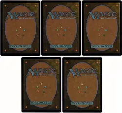 MTG Duskmourn: House of Horrors Set of Full Art Lands Foil (Common) - Image 3