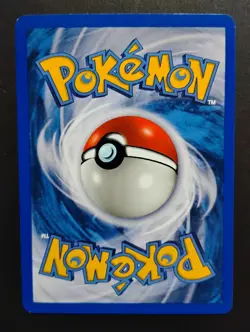 Hoothoot 65/144 Skyridge Non-Holo 2003 WOTC Vintage E-reader Pokemon Card NM - Image 2