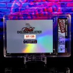 Reze Waifu Trading Card SLAB Serial #07/25 LIMITED RELEASE Encased Custom Holo - Image 3