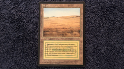 SAVANNAH Revised Italian Foreign Black Border (FBB) MTG - Image 2