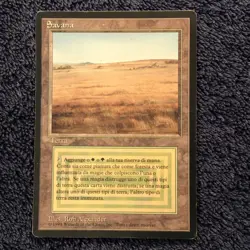 SAVANNAH Revised Italian Foreign Black Border (FBB) MTG - Image 4