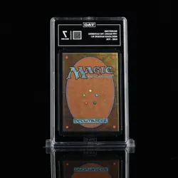 Brainstorm Mercadian Masques Foil, TAG Graded 7 - Image 2