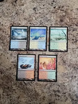 5 Dual Land - Coldsnap - 1x of each NM Collector Sets Magic MTG Snow Mana - Image 1