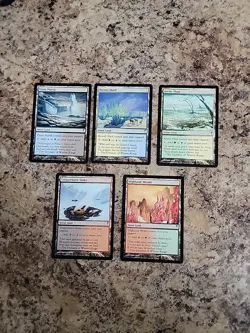 5 Dual Land - Coldsnap - 1x of each NM Collector Sets Magic MTG Snow Mana - Image 2