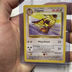 Pokemon Pidgeot #24/64 Non-Holo Rare Unlimited Jungle Set LP Vintage Card TCG - Image 1