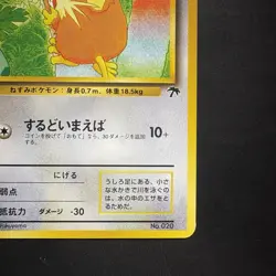 Pokemon Vintage Japanese Southern Islands Raticate Rare Promo Old Back - Image 5