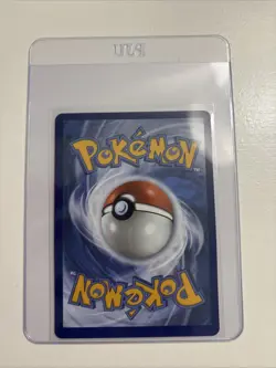 Mega Venusaur ex 013 Black Star Promo Pokemon TCG NM - Image 2