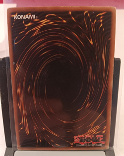 Amphibian Beast - LON-008 - Yugioh! Yu Gi Oh! Rare - Image 2