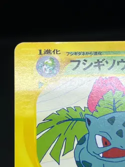 LP/MP) Ivysaur Charmeleon Wartortle 010 011 012/T Trainers Japanese Pokemon Card - Image 4