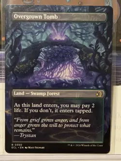 Overgrown Tomb (Borderless) Lorwyn Eclipsed Regular MTG NM - Image 2