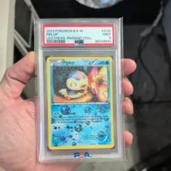 POKEMON CARD PIPLUP HOLO RADIANT COLLECTION RC6 B & W LEGEND GRADED PSA 9 MINT - Image 1