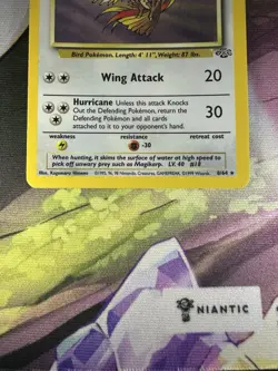 Pidgeot 8/64 Holo Rare Jungle Set Unlimited Edition Pokemon Card 1999 WOTC - Image 4