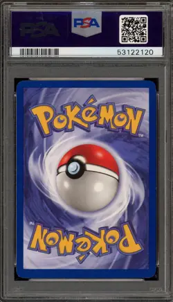PSA 10 GEM MINT Pokemon Dark Wartortle Team Rocket 1st Edition #46 ENGLISH - Image 2