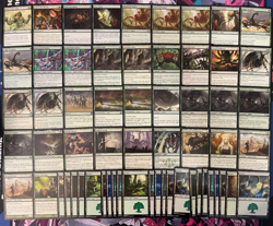 MTG - 60 CARD SPIDER DECK - ARASTA OF THE ENDLESS WEB, ARCHETYPE OF ENDURANCE ~ - Image 1