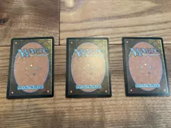 MTG - Hickory Woodlot x3 - Masks - Lands - NR - Image 2