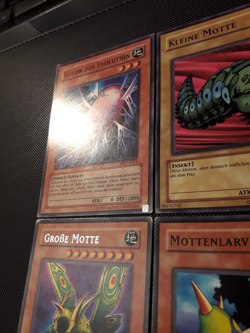 Yu-Gi-Oh! Kleine und Grosse Motte, Larve, Kokon, MRD, Common, Rare, 2.A., EX-LP - Image 2