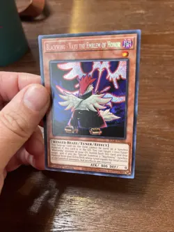 Yugioh Blackwing - Vayu the Emblem of Honor BLCR-EN060 Secret 1st Edition NM - Image 3