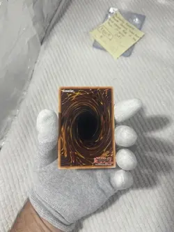 Mulcharmy Fuwalos (Quarter Century Secret Rare) ROTA-EN024 Rage of the Abyss 1st - Image 5