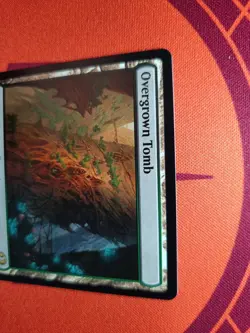 Overgrown Tomb (NM) Lorwyn Eclipsed MTG Discount: 5+ Magic Singles - Image 3