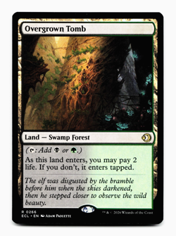 Overgrown Tomb [Lorwyn Eclipsed] Magic MTG ECL 0266 - Shock Land 💀🌳 - Image 1
