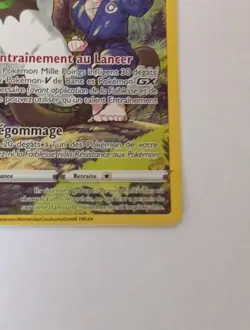 Carte Pokemon QUARTERMAC TG08/TG30 HOLO Epee et Bouclier 12 EB12 FR NEUF - Image 4
