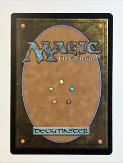 MTG Archmage of Echoes Commander: Wilds of Eldraine 0009 - Image 2