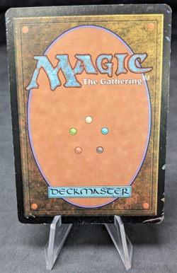 Savannah Lions - MTG Magic the Gathering - 8th - Altered - Image 2