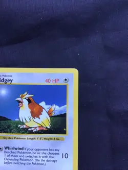 Pokemon Cards: Base Set 1st Edition Common: Pidgey 57/102 - Image 3