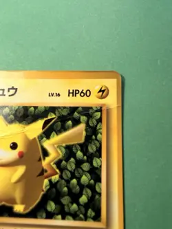 Ivy Pikachu NON-GLOSSY Promo No. 025 Japanese Pokemon Card Ken Sugimori - Image 4