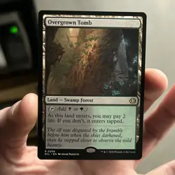 MtG Lorwyn Eclipsed Cards (Lot of 4) Rare Non-Foil Shock Lands Near Mint - Image 3