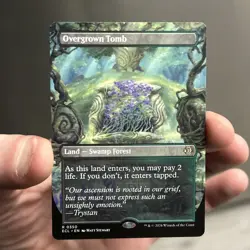 MtG Lorwyn Eclipsed Cards (Lot of 4) Rare Non-Foil Shock Lands Near Mint - Image 5