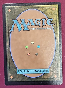 Wistfulness Lorwyn Eclipsed Normal NM 252 - Pack Fresh, In Hand, Ready to Ship - Image 2