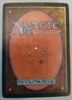 MTG Rainbow Vale 1994 Fallen Empires Rare Magic The Gathering Pl #03 - Image 2