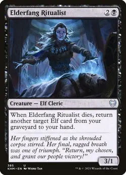 Elderfang Ritualist 385 KHM Elf Cleric Uncommon Black Tan 2021 MTG Creature EN - Image 1