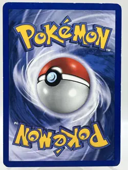 Phanpy 43/111 Neo Genesis 1st Ed Non Holo WotC 2000 Vintage Pokemon TCG Card - Image 3