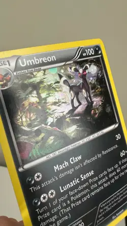 Umbreon XY96 Pokemon TCG Black Star Promo Holo - Image 3