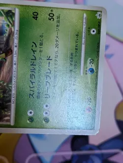 Leafeon 069/DP-P Winter Challenge Japanese Pokemon Card - Image 5