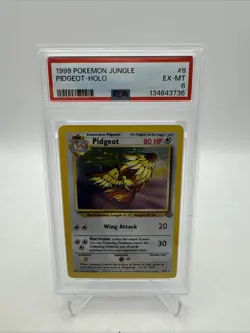 PSA 6 PIDGEOT 8/64 HOLO JUNGLE 1999 POKEMON TCG - Image 1
