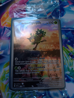 SEALED Pokemon Teal Mask Ogerpon Black Star Promo w/Dividers Twilight Masquerade - Image 1