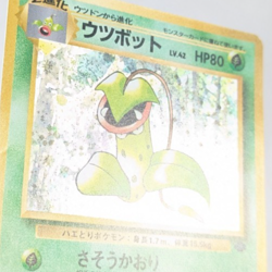 Pokemon - Victreebel - Holo Rare No. 071 - Jungle - Japanese - Image 3