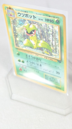 Pokemon - Victreebel - Holo Rare No. 071 - Jungle - Japanese - Image 4