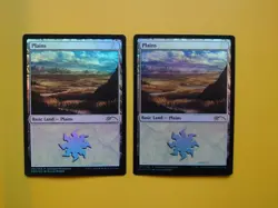 MTG Card. Plains x2 Standard Showdown Land FOIL as pictures- Alayna Danner - Image 1