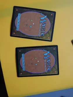 MTG Card. Plains x2 Standard Showdown Land FOIL as pictures- Alayna Danner - Image 5